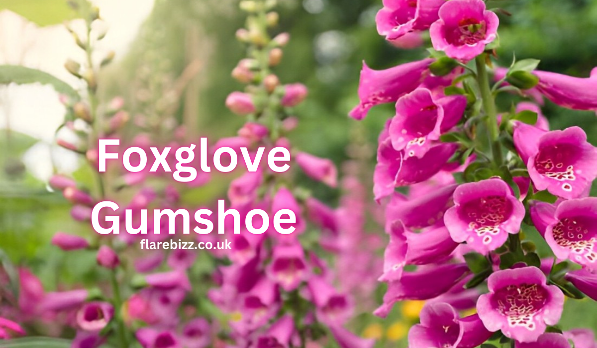Foxglove Gumshoe